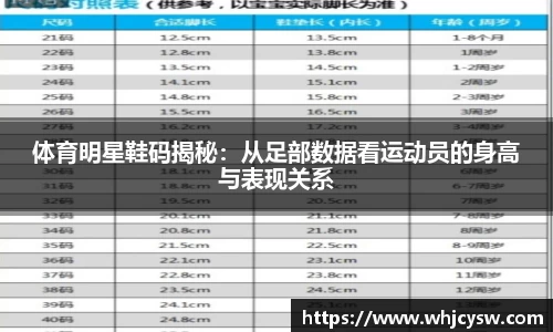 星空·综合体育中国官方网站