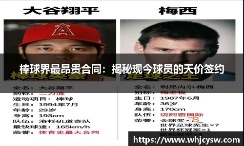 星空·综合体育中国官网