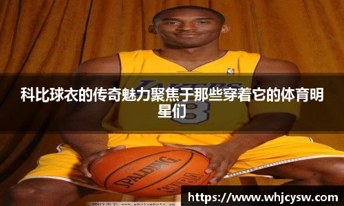 星空·综合体育中国官方网站