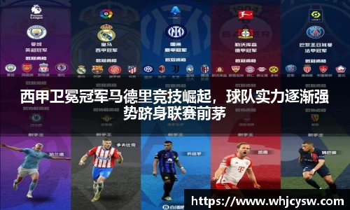 星空·综合体育中国官网