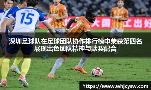 星空·综合体育中国官网