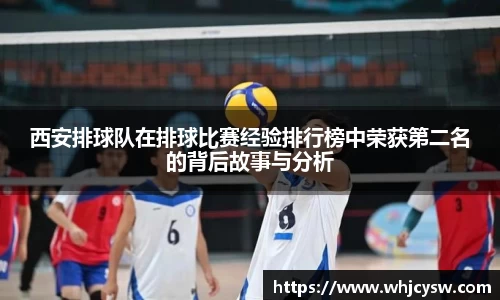 星空·综合体育官方网站